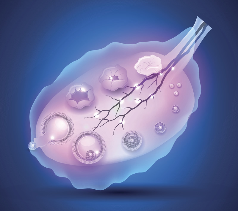沧州中西医院做试管多少钱手术成功的几大条件